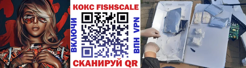 Купить  Долгопрудный  КОКАИН Fish Scale 