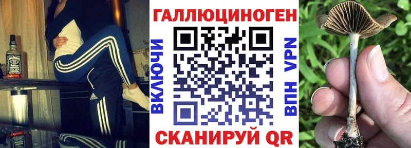 Купить  Долгопрудный  Псилоцибиновые грибы Magic Shrooms 