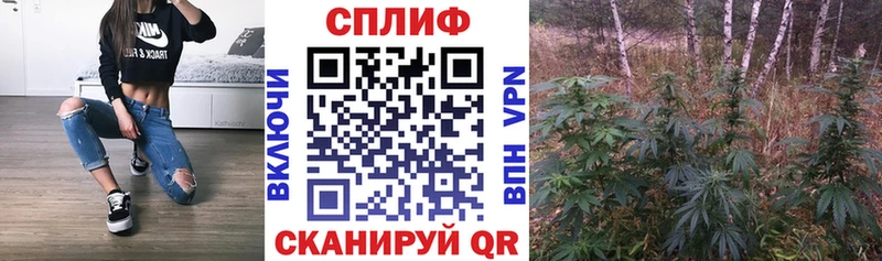 Бошки марихуана планчик  Купить где  Долгопрудный